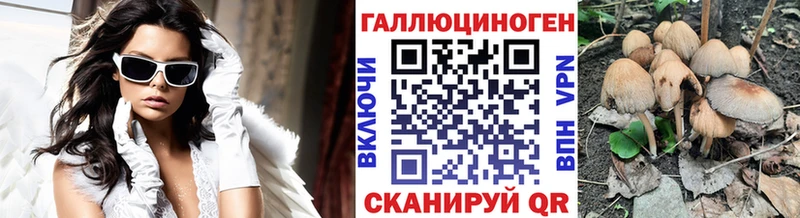 Галлюциногенные грибы Psilocybe  Велиж 