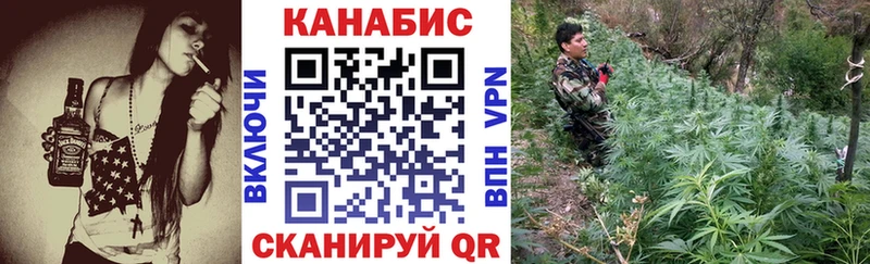 Марихуана SATIVA & INDICA  магазин  наркотиков  Велиж 